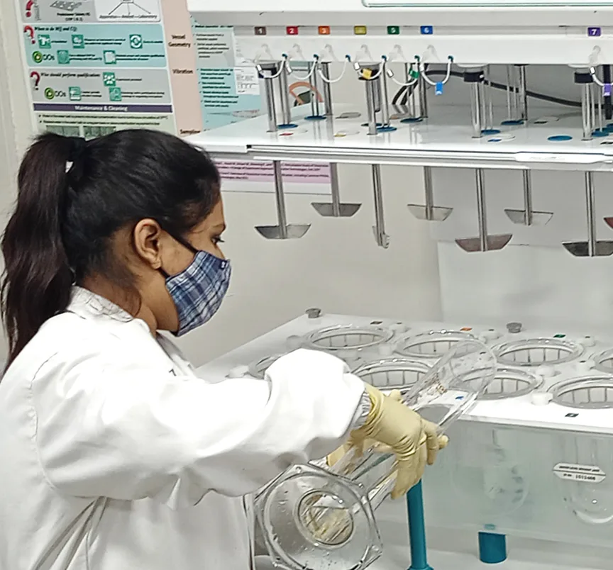 AdobeStock_1036425289 3 (2)